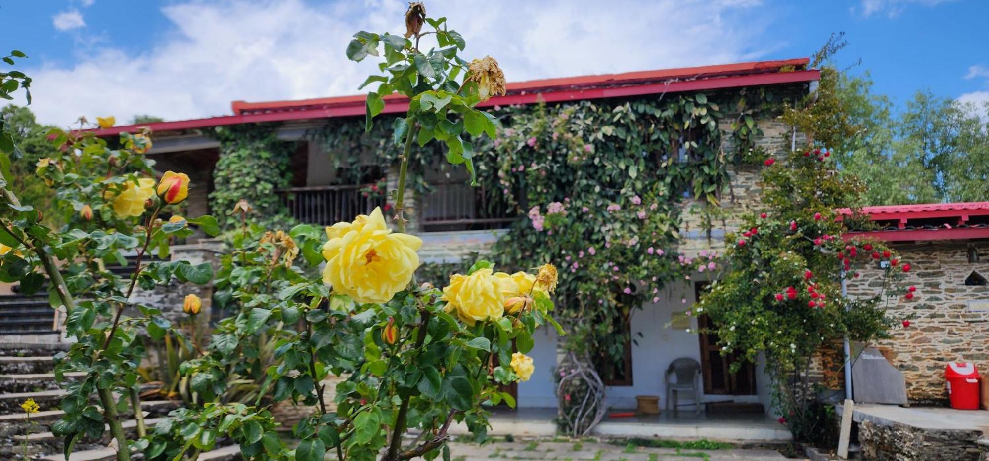 Dunagiri Retreat Dwarahat Esterno foto